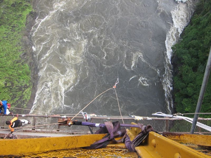 Bungee after