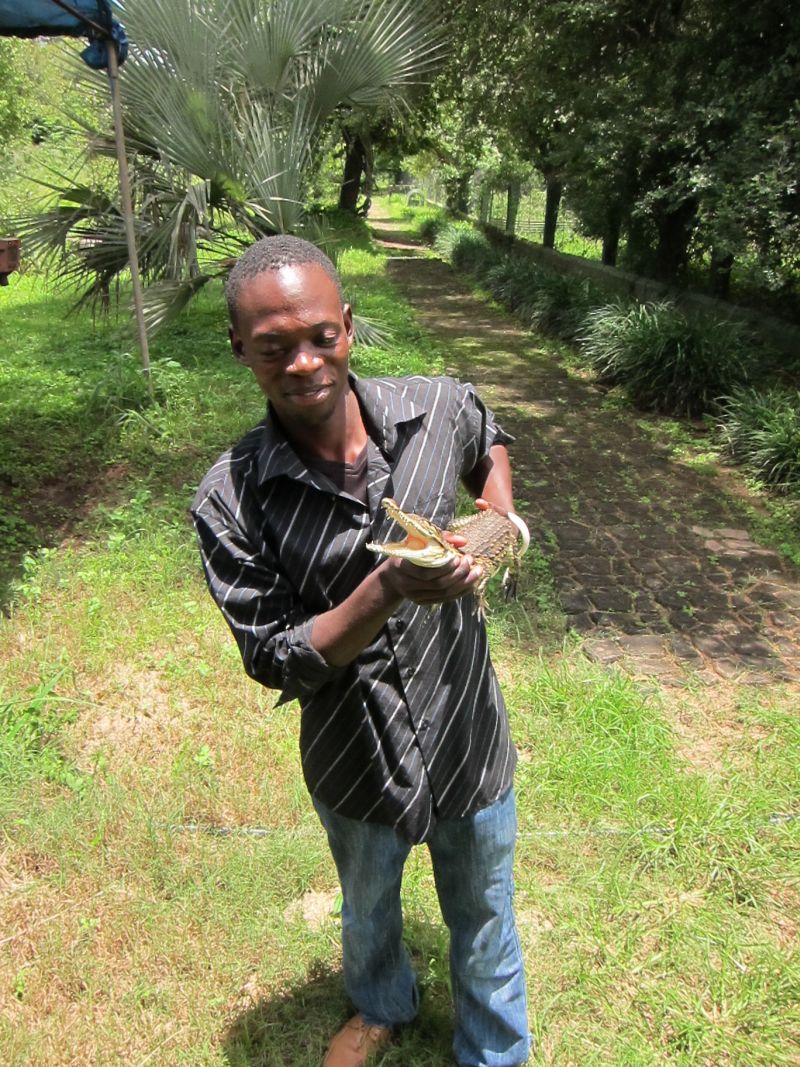 Nathan and baby croc